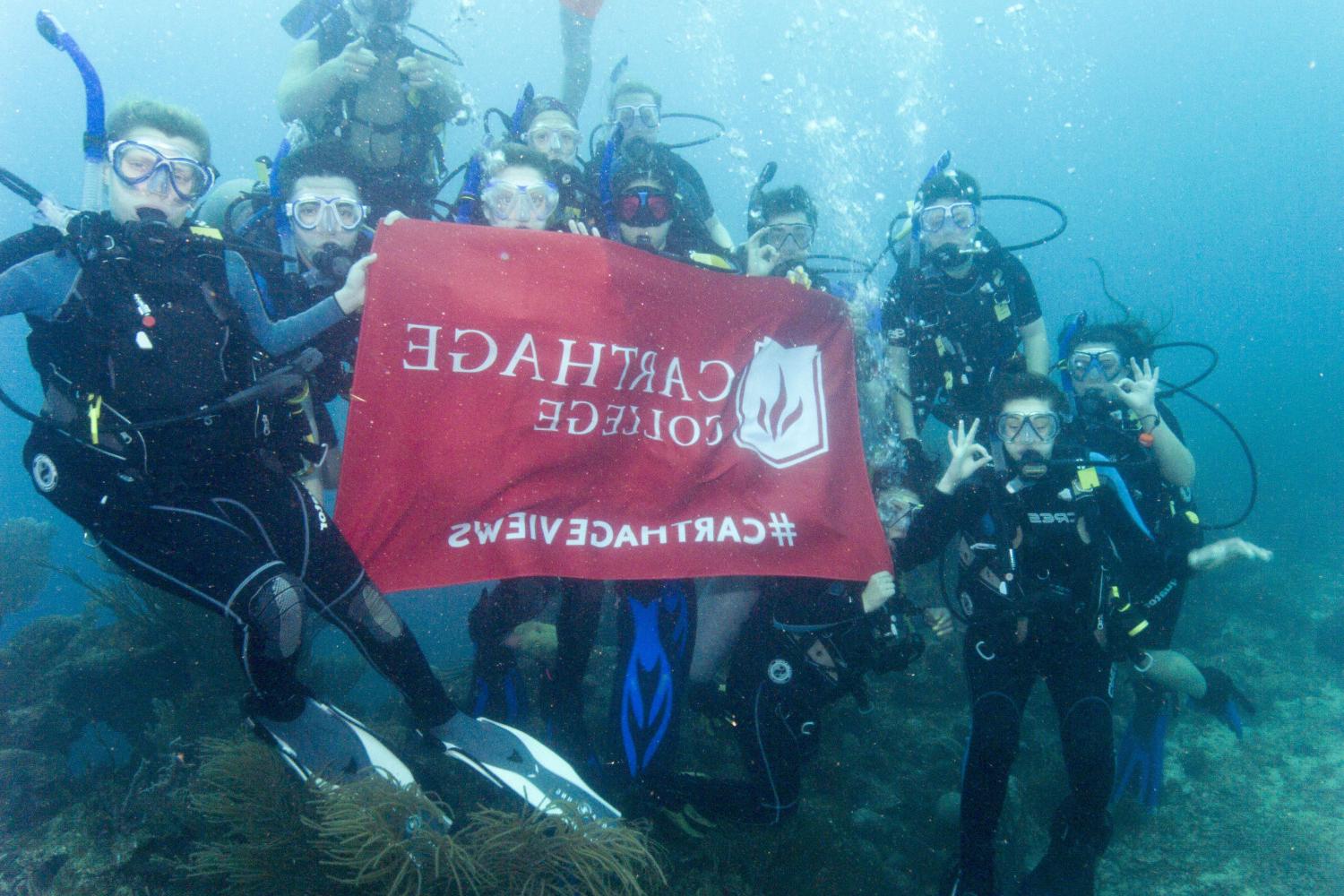 学生们手持<a href='http://tra4.lfkgw.com'>bv伟德ios下载</a>旗帜，在j学期洪都拉斯游学之旅中潜水.